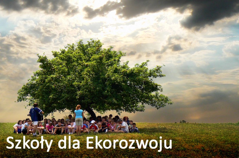 edukacja ekologiczna